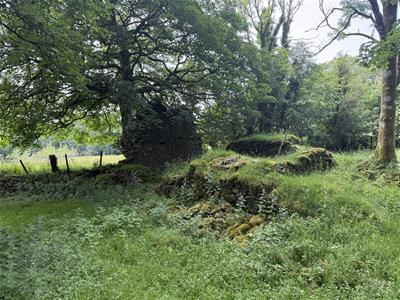 Picture 42